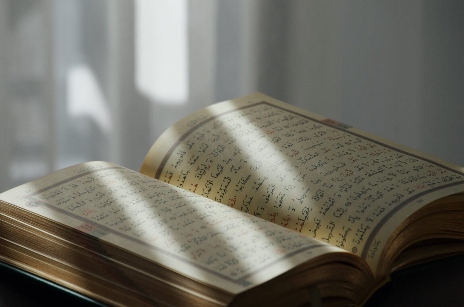 Our Vision - Quran Reading